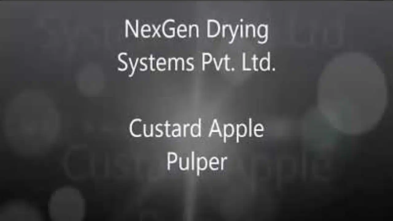 custard-apple-pulper