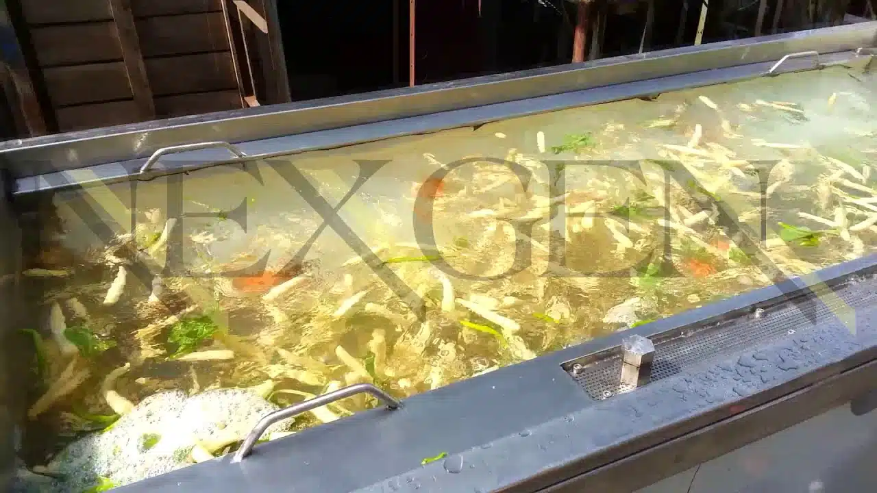 multipurpose-vegetable-washer