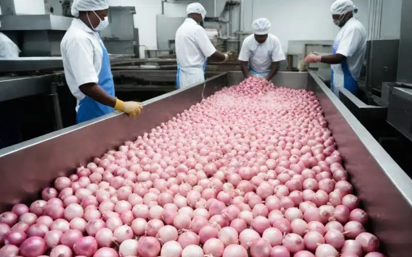Food Processing