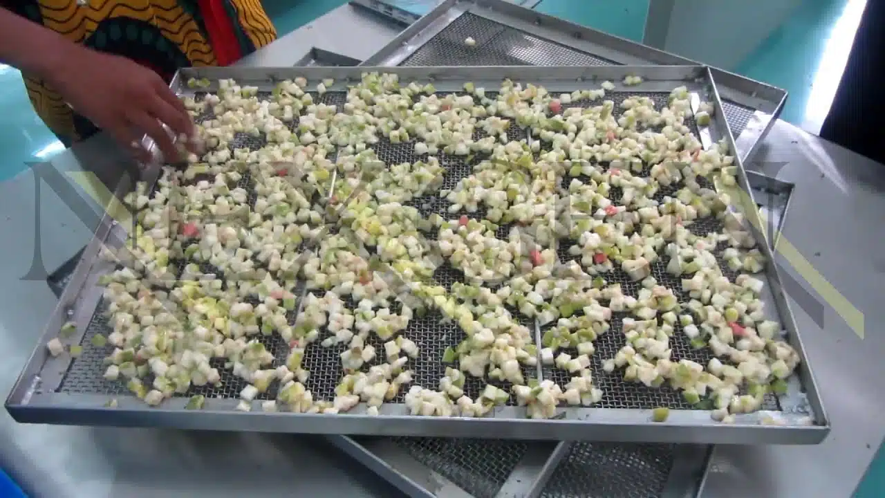 tray-dryer