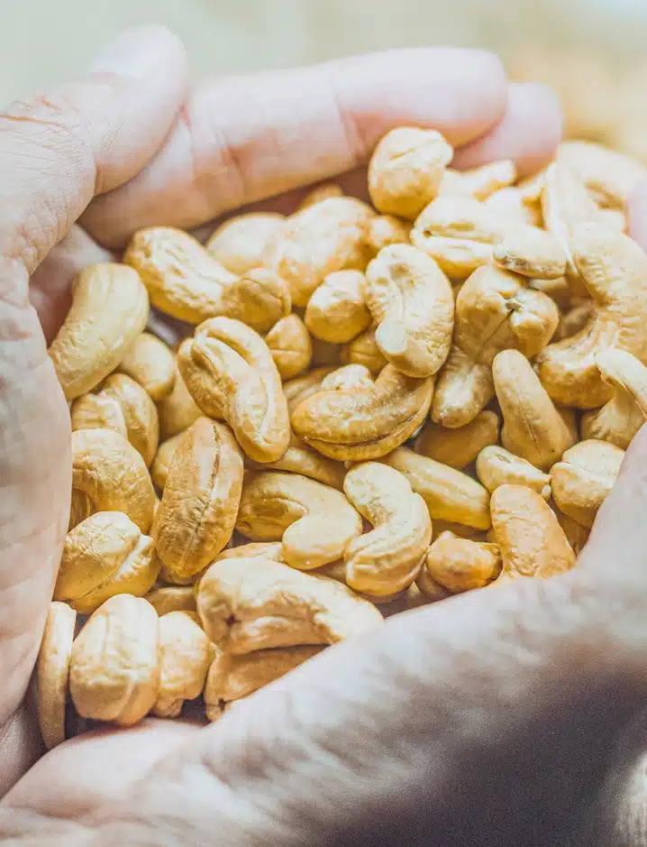 Features-of-Cashew-Processing