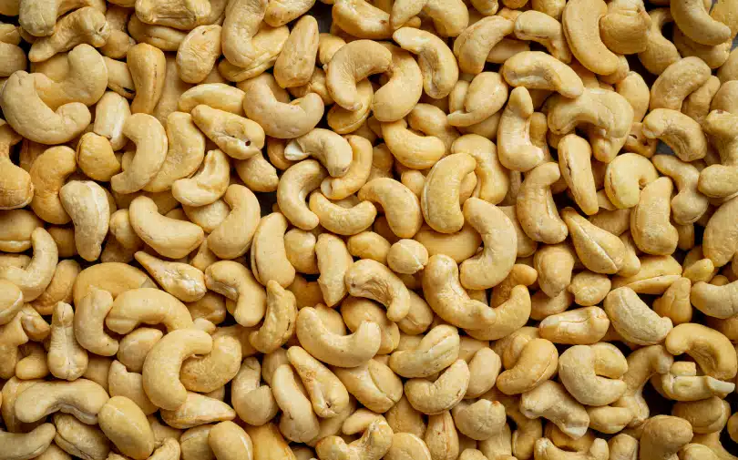Cashew Processing