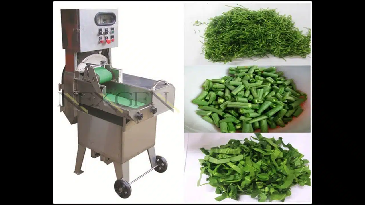 Leafy Vegetable Cutting Machine
