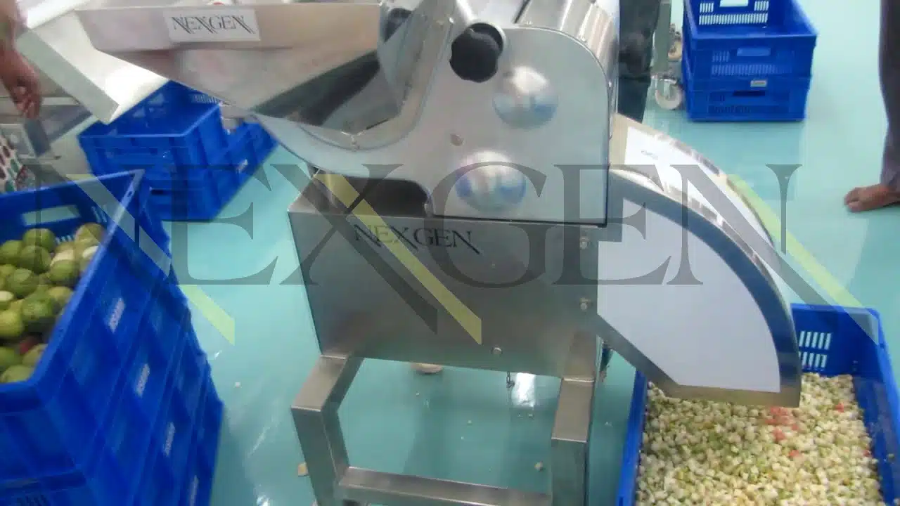 Vegetable Dicing Machine