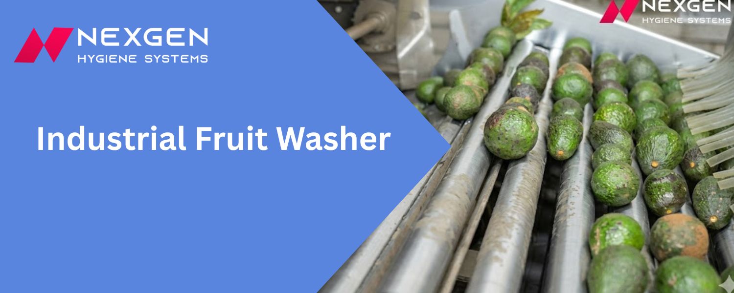 Nexgen-Industrial-Fruit-Washing-System
