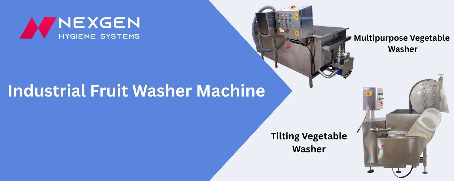 nexgen-industrial-fruit-washer-machine