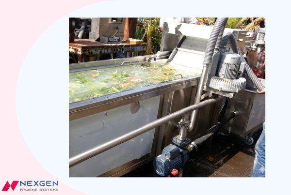 nexgens-custom-spiral-vegetable-washing-machine